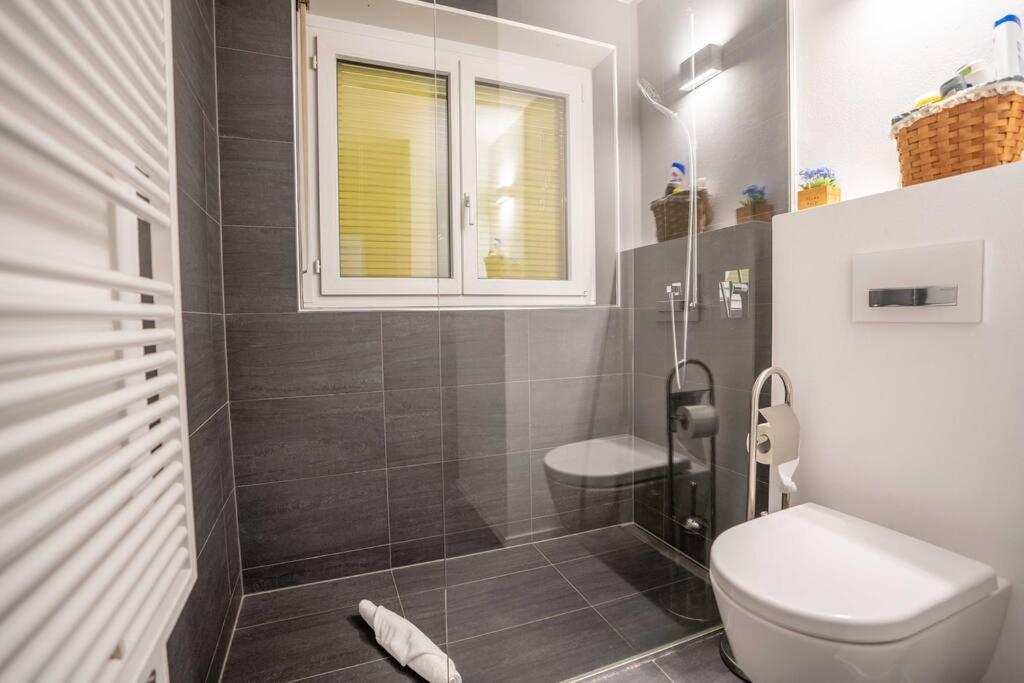 צרמט Moderne Wohnung Mit Ausblick Und Viel Sonne מראה חיצוני תמונה