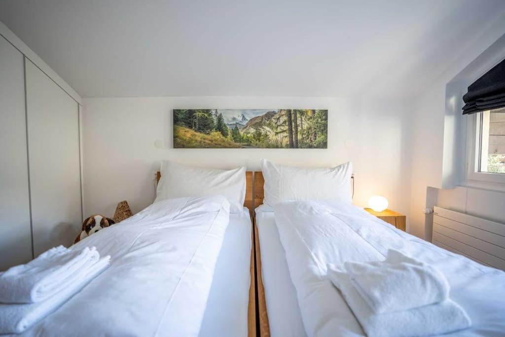 צרמט Moderne Wohnung Mit Ausblick Und Viel Sonne מראה חיצוני תמונה